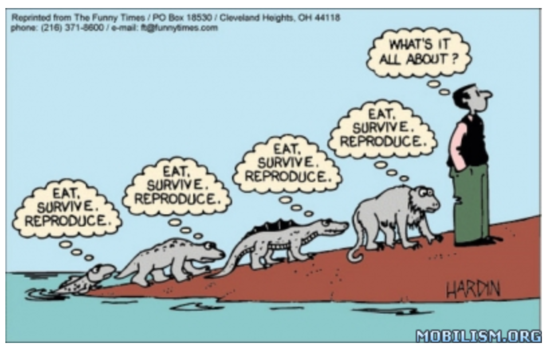 Diversity essay evolution life selected